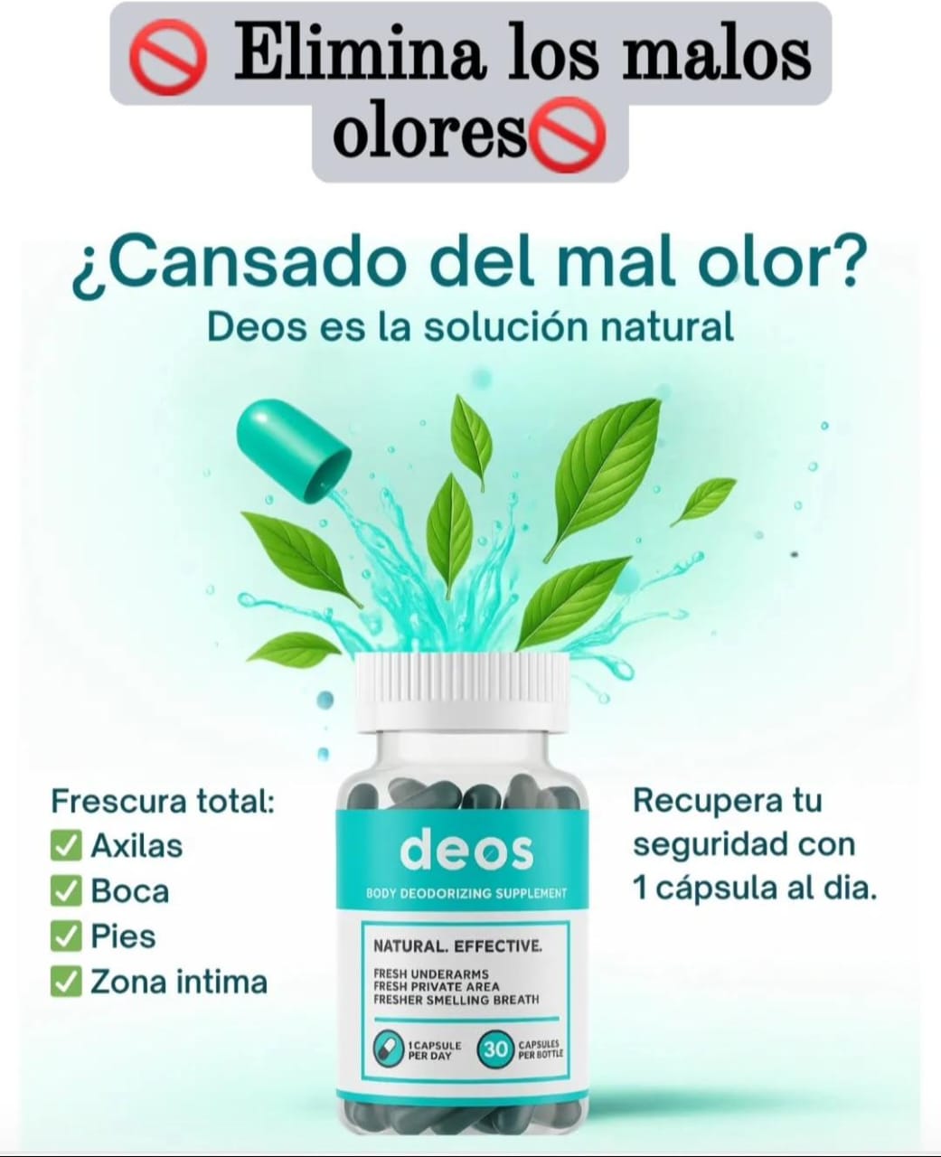 DEOS DESODORANTE INTERNO